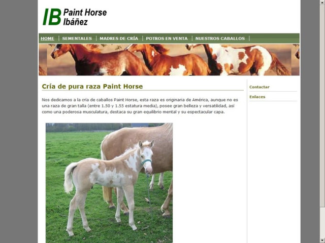 Paint Horse Ibáñez