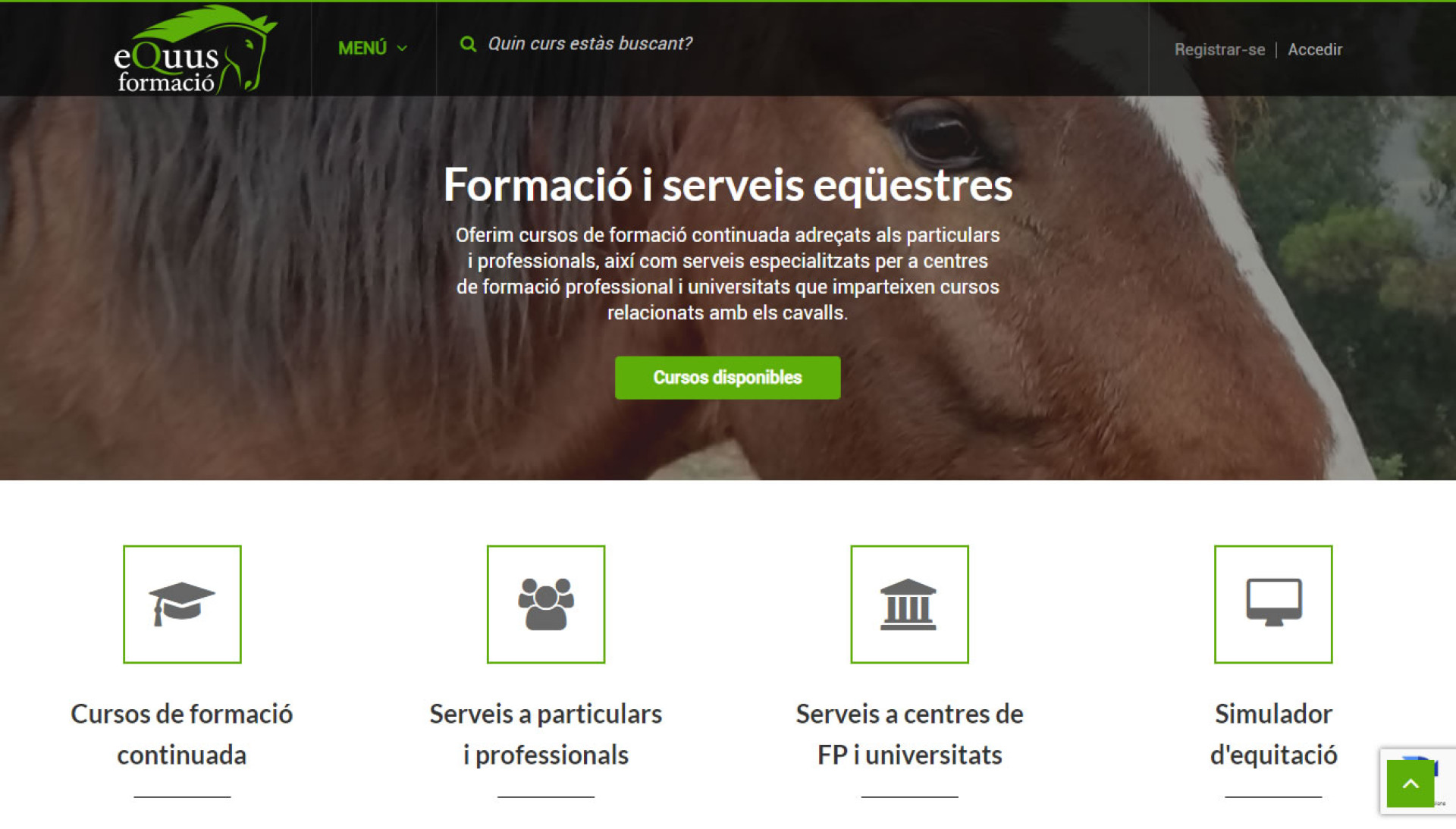Equus Formació Equus Formació