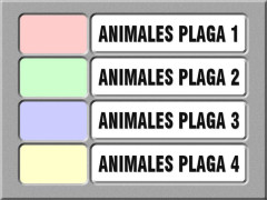 imagen00021.jpg